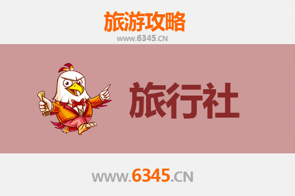 台南中西区在地旅行社推荐：深度体验府城文化与美食之旅